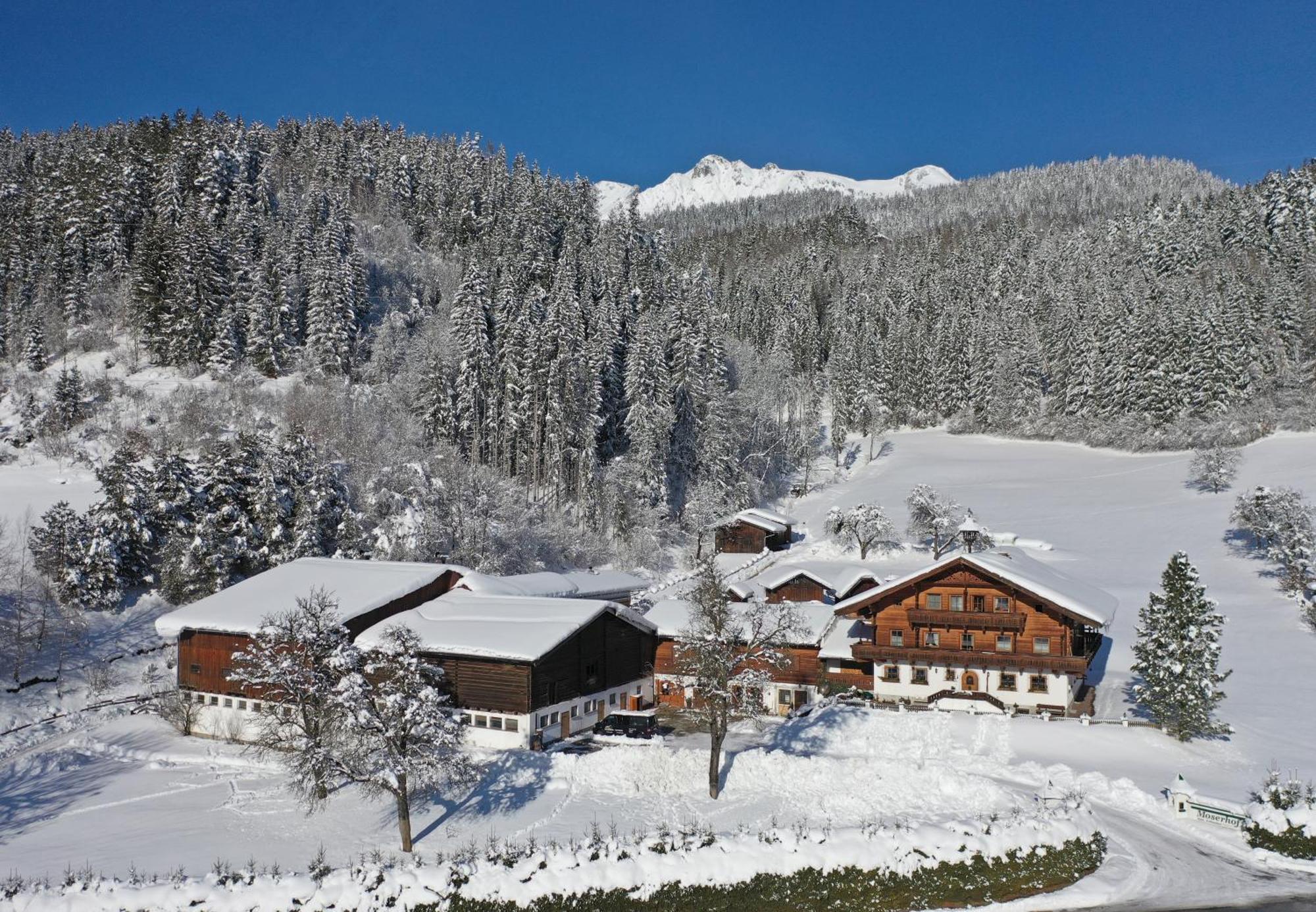 Moserhof Schladming Extérieur photo